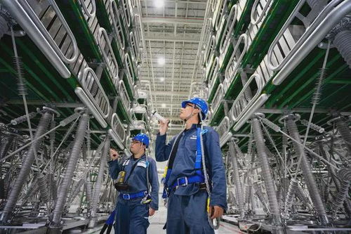 最适合进入国家电网和南方电网的五大专业及钻采工程技术服务解析