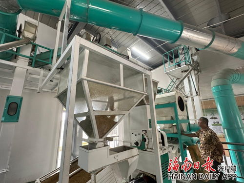 科技兴农绘出钱粮双丰收——陵水远景村机械化服务产业注入农业现代化新活力