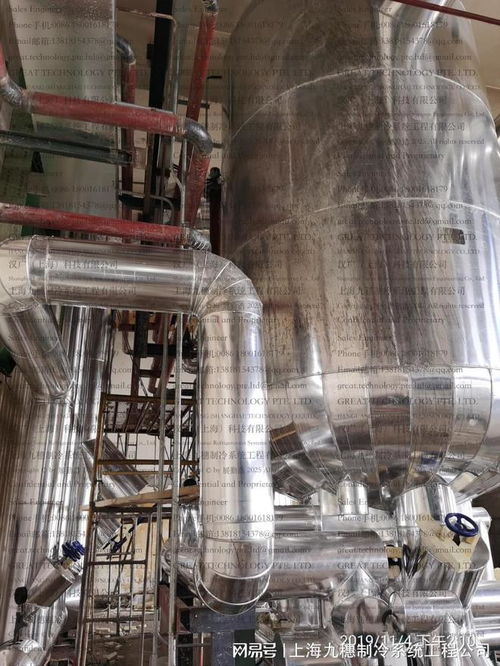 速冻食品加工中的氨制冷系统 保障食品安全与提升生产效率的核心技术